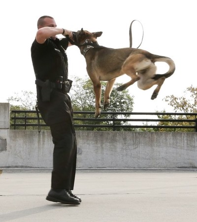 K-9 officer with his dog/partner demonstration
