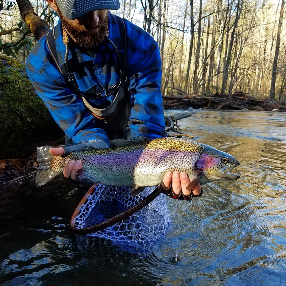 Picture of man holding a large rainbow trout while standing in a stream.