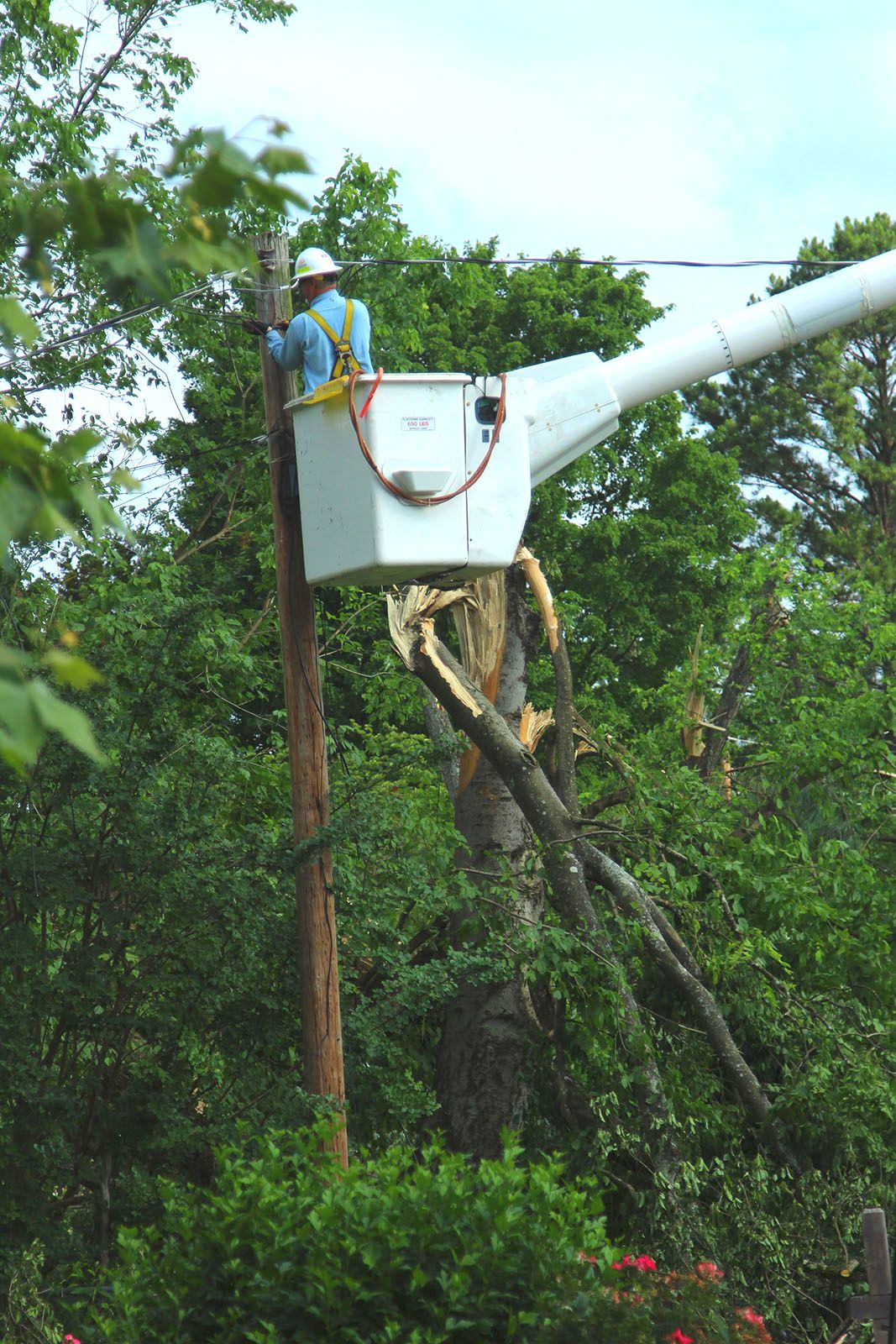 Photo of Lineman working on pole